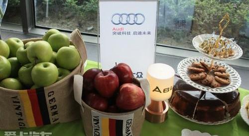 奧迪,奧迪A6L,奧迪A6,大眾,一汽