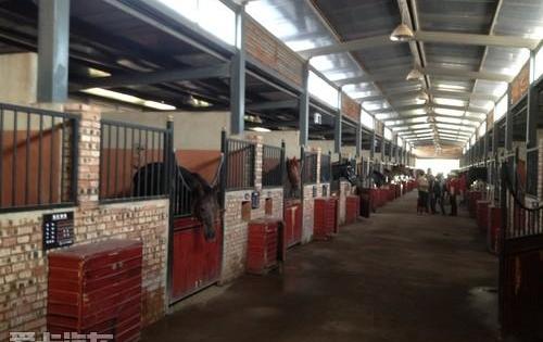 奧迪,奧迪A6,奧迪A6L,發現,現代