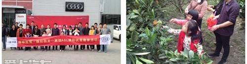 奧迪,奧迪A6L,奧迪A6,漢