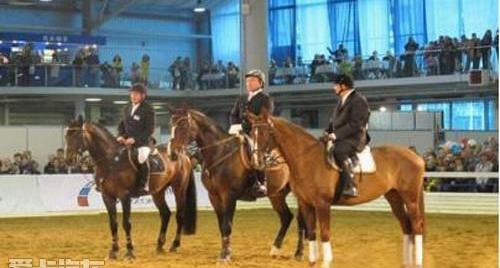 奧迪,奧迪A6L,奧迪A6,大眾,理念