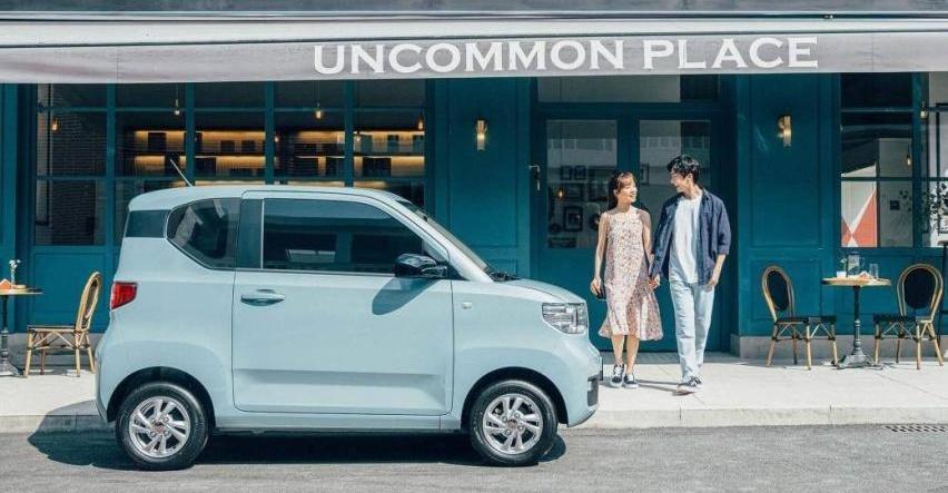 比亞迪,海豚,朗逸,軒逸,MINI