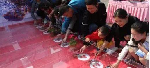 探歌,大眾,一汽,奧迪A6L,奧迪