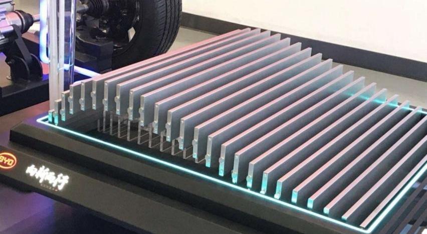 比亞迪,漢,特斯拉,寶馬,海豚