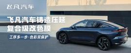 飛凡汽車,理念