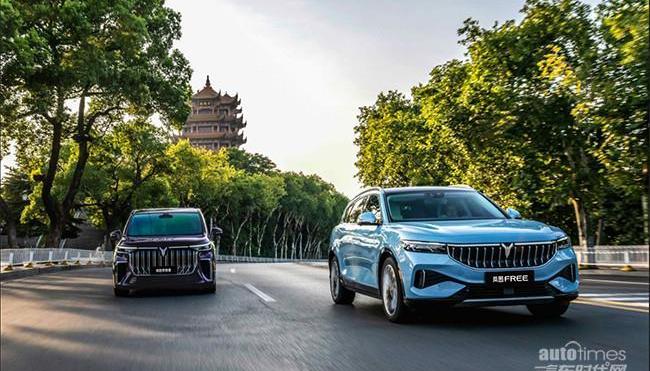 嵐圖汽車,東風,嵐圖追光,理念,漢