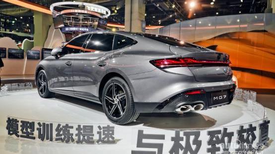 MG7,斑馬