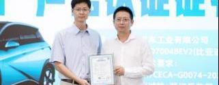 比亞迪,海豚,理念,漢