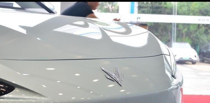 比亞迪,曼,遠程,小鵬