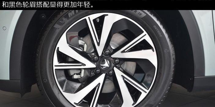 比亞迪,曼,遠程,小鵬