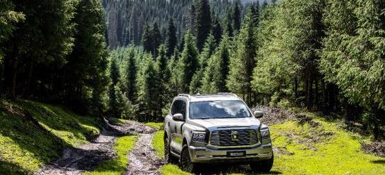 坦克,坦克500,長城,坦克300