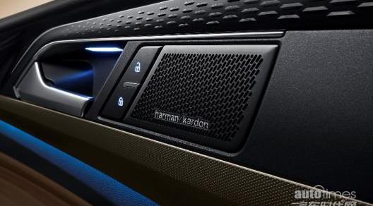 帕薩特,理念,曼