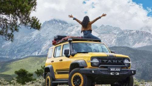 坦克,坦克300,坦克500,大眾,長城