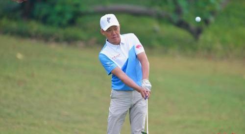 高爾夫,本田,漢