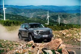 哈弗,哈弗大狗,遠程