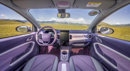 小螞蟻,奇瑞,遠程