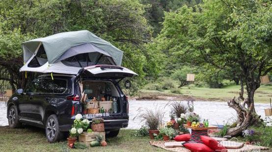 星途,星途攬月,理念,悅動