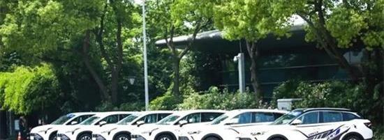 東風,東風富康,嵐圖汽車,標致,風神E70