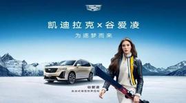 長安,理念,北京,發現,鯨