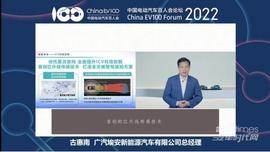 埃安,特斯拉,發現