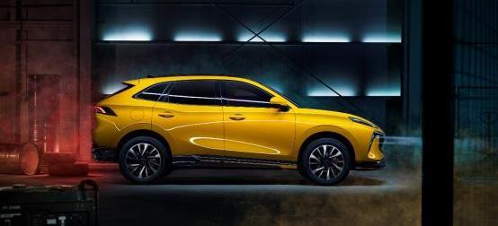 風行T5,風行T5 EVO,理念