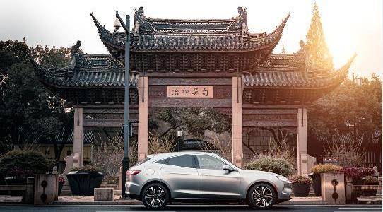 海豚,理念,現代
