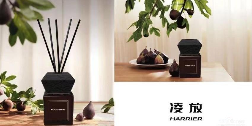 豐田,一汽,雷克薩斯,雷克薩斯RX,優越