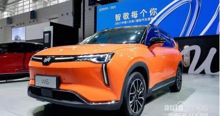 威馬W6,威馬汽車,遠程,理念