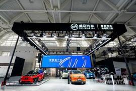 威馬W6,威馬汽車,遠程,理念