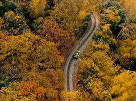 小螞蟻,奇瑞,奇瑞新能源,遠程