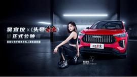 哈弗,哈弗赤兔,勇士,炮