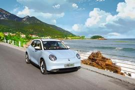 MINI,歐拉,歐拉好貓,長城,保時捷