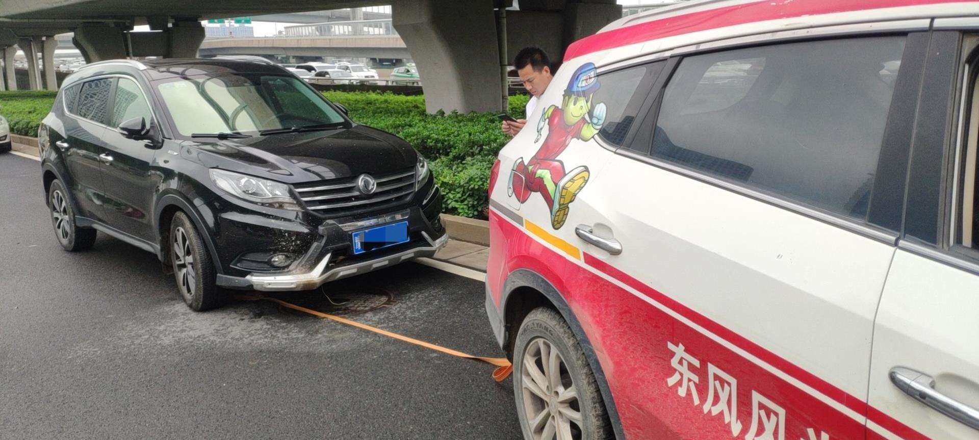 東風,東風風光,東風小康