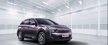 哪吒汽車,哪吒U,大眾