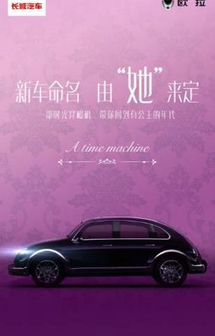 歐拉,發現