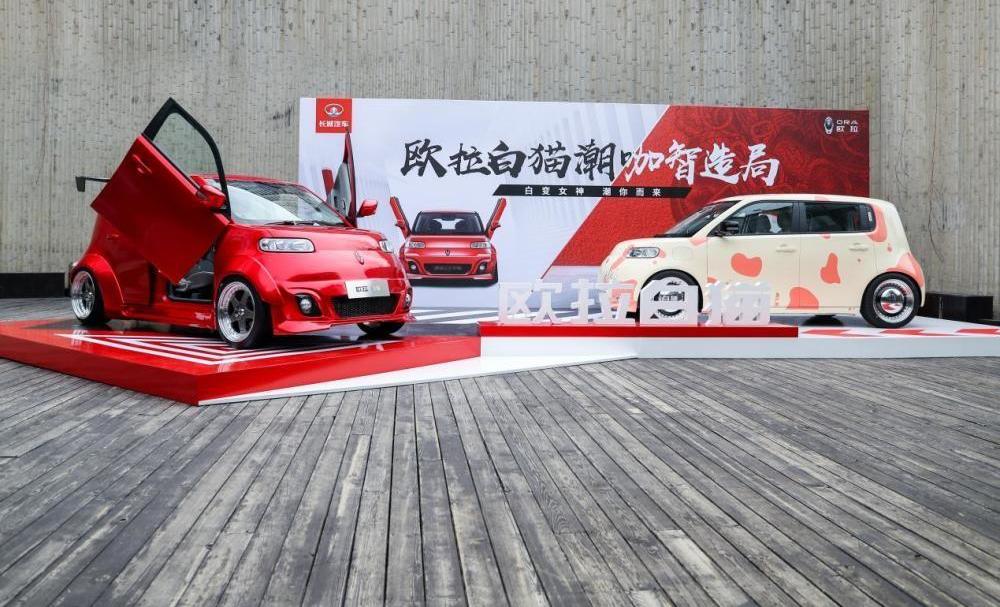 歐拉,歐拉白貓