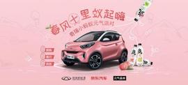 奇瑞,奇瑞新能源,小螞蟻,北京