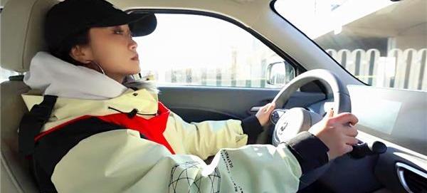 歐拉,歐拉白貓,哈弗,哈弗大狗,大眾