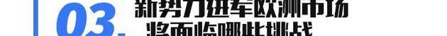 蔚來,特斯拉,愛馳,小鵬,大眾
