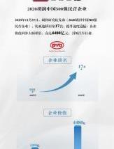 比亞迪,漢