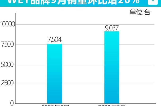 長城,坦克,哈弗,坦克300,北京