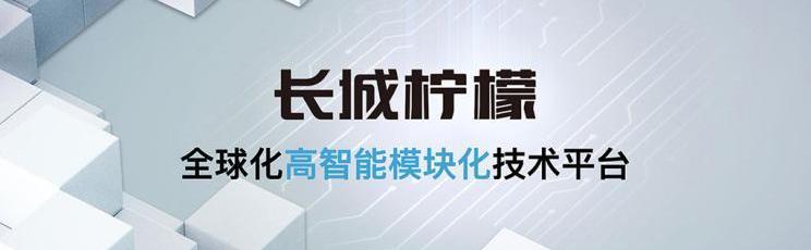 坦克,長城,哈弗,北京,豐田