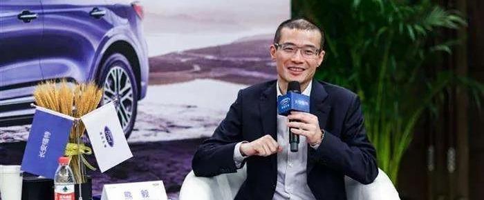 福特,江鈴,DS,長安,標致