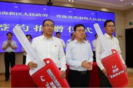 長城,哈弗,炮