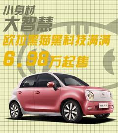 歐拉,歐拉黑貓,長城,歐拉白貓,奇瑞