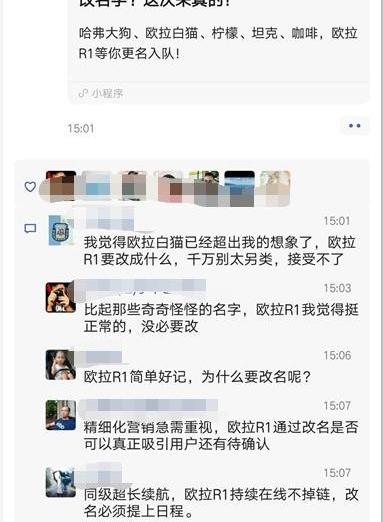 歐拉,長城,歐拉黑貓,理念,歐拉白貓