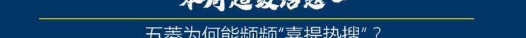 蔚來,五菱榮光,理想汽車,MINI,五菱汽車