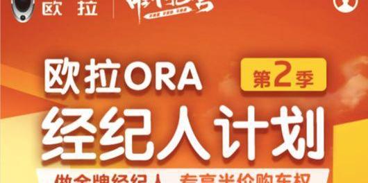 歐拉,長城,大眾