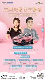 小螞蟻,奇瑞,奇瑞新能源,理念