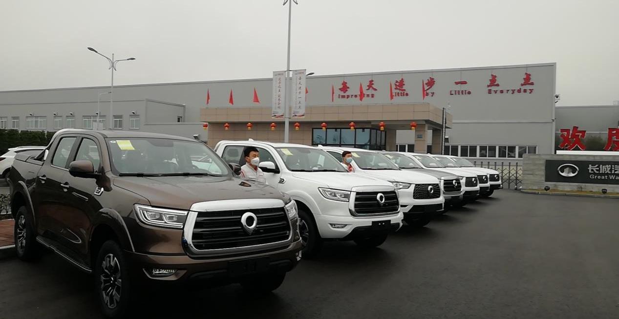 長城,炮,漢,遠程
