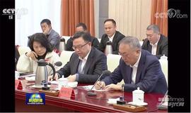 比亞迪,發現,漢